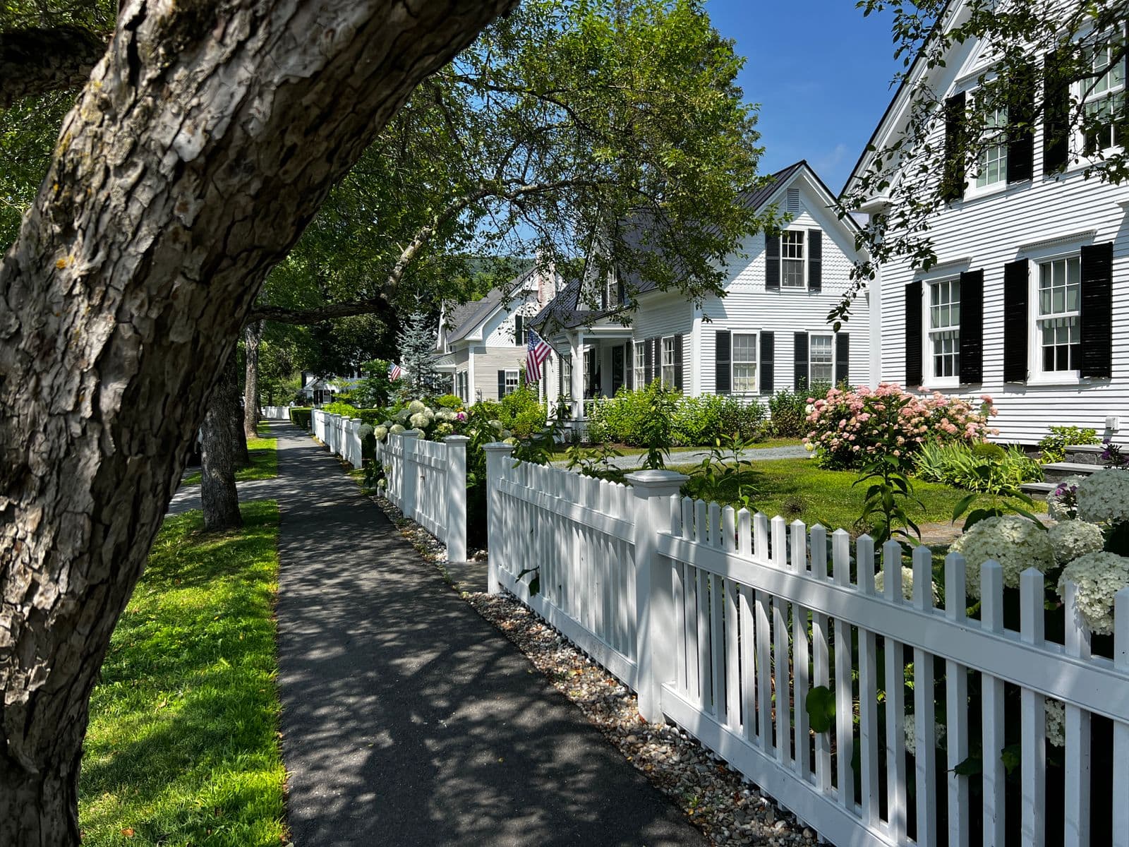White picket fence along a sidewalk in front of white houses