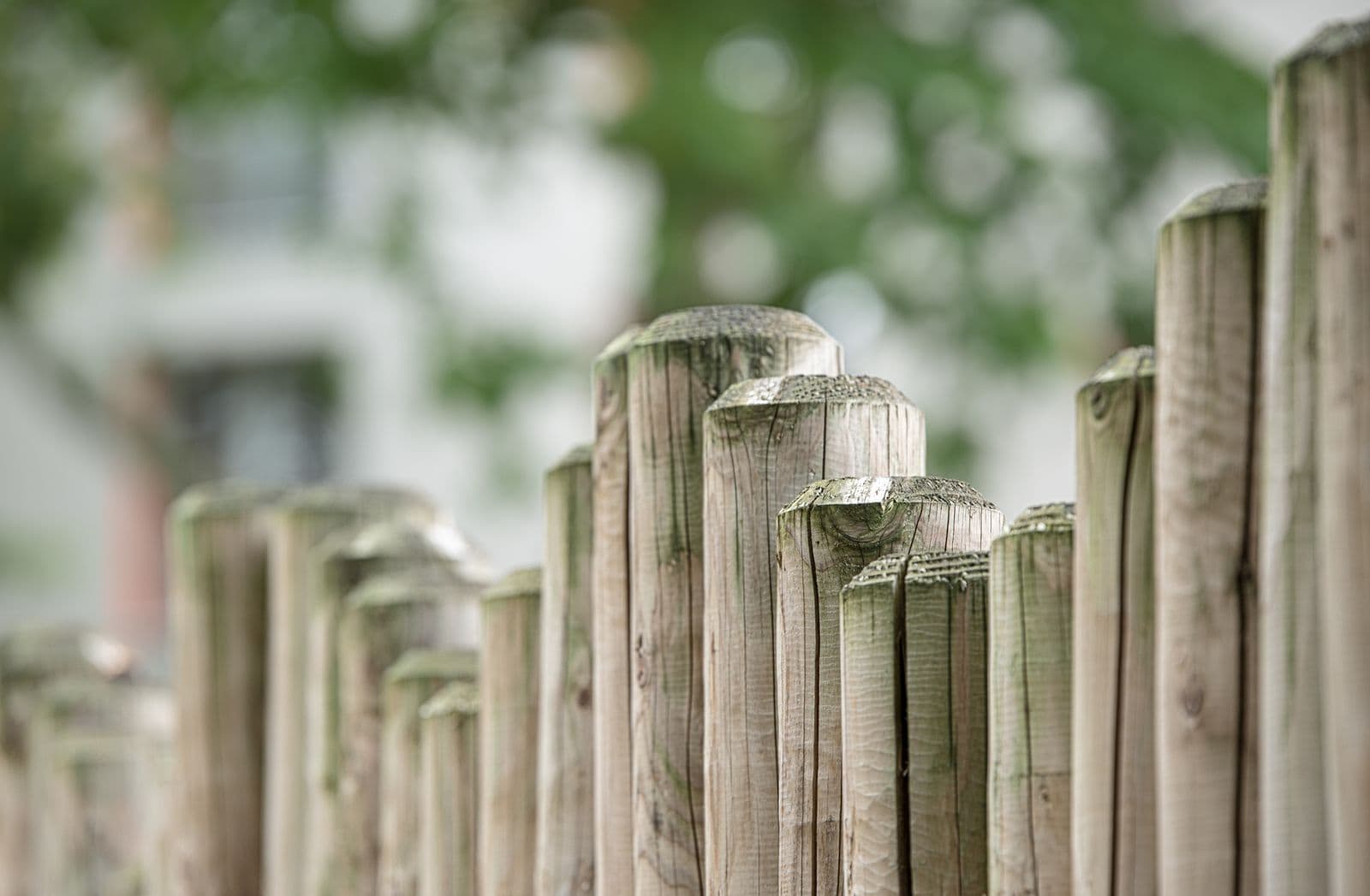 Row of round wooden fence posts