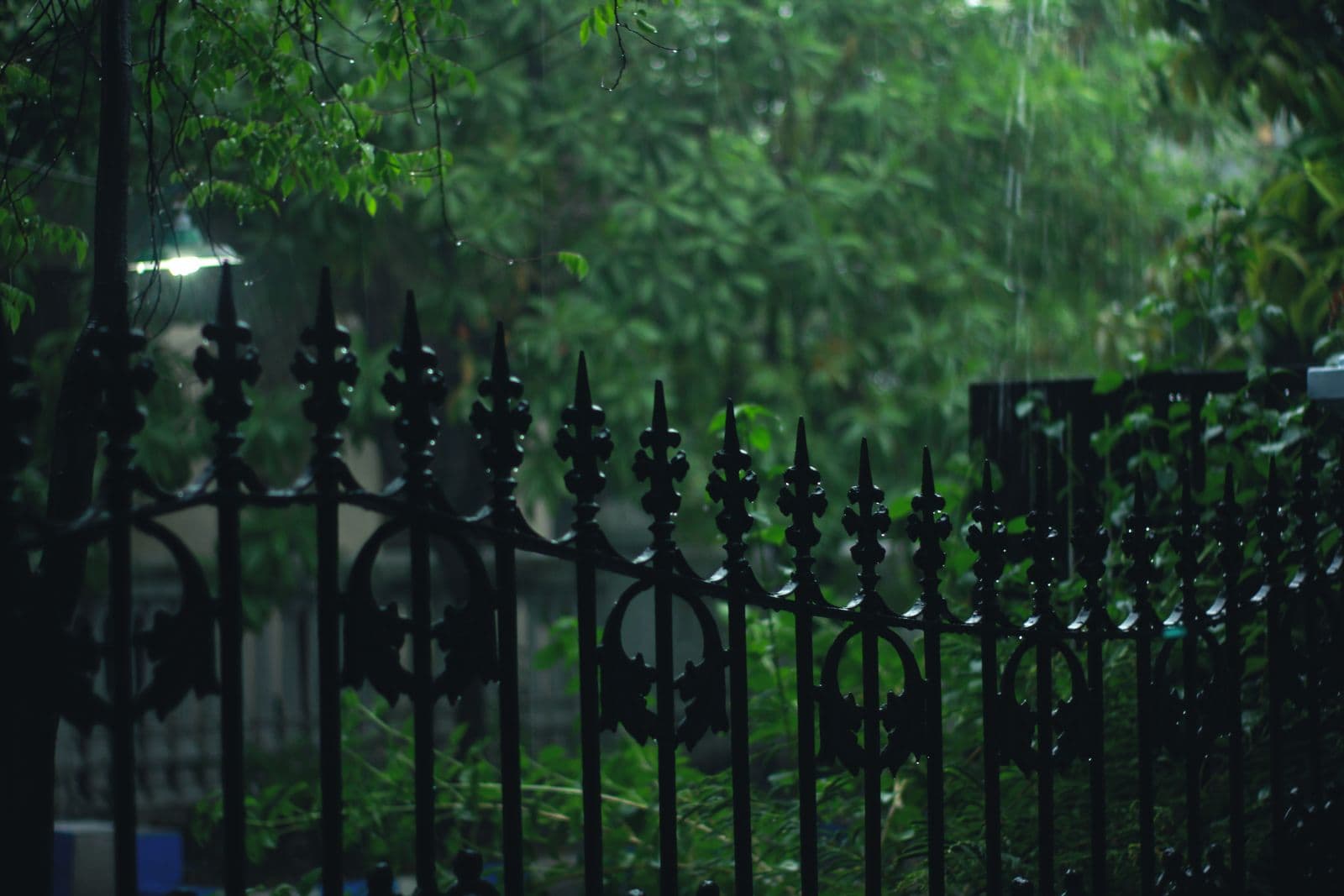 Black decorative metal fence in front of a green garden