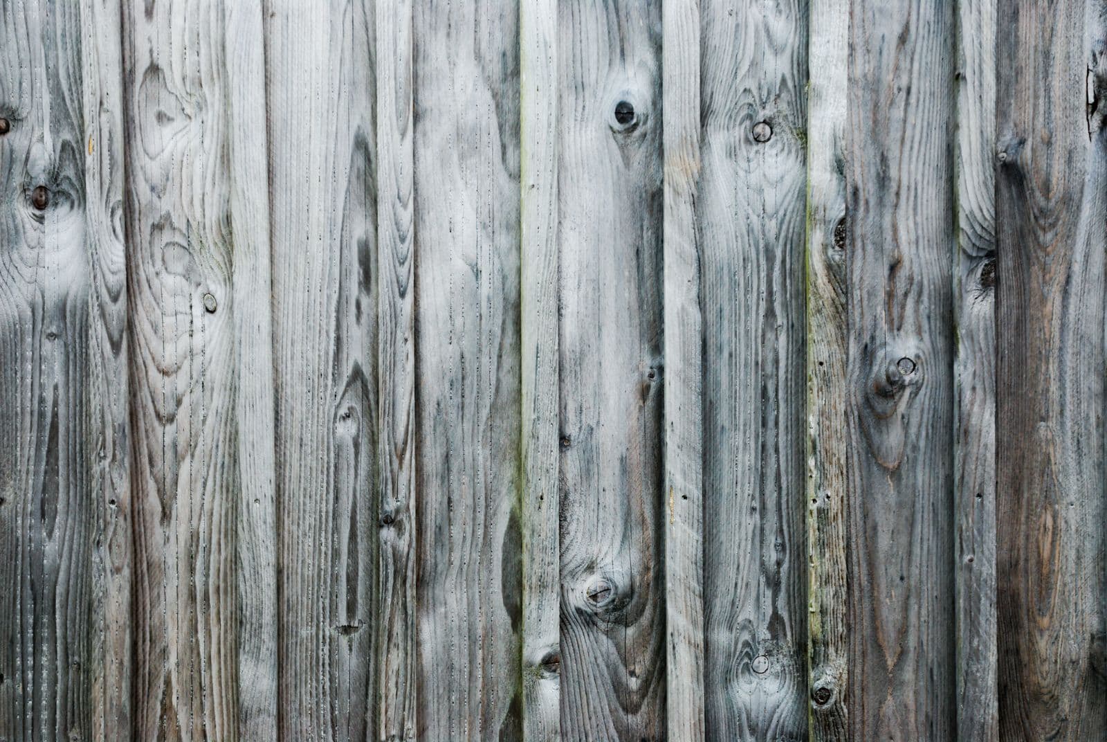 Weathered gray wood fence boards
